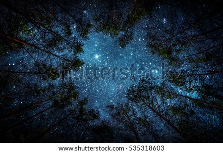 Beautiful night sky, the Milky Way and the trees. Elements of this image furnished by NASA. Royalty-Free Stock Photo #535318603