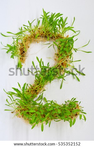 Alphabet number 2 shows by blurry sapling plant on white for background.