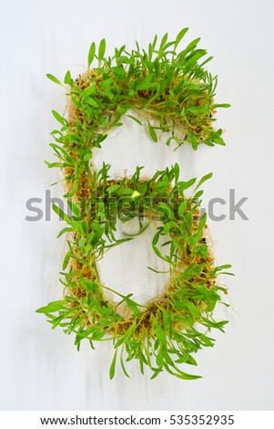 Alphabet number 6 shows by blurry sapling plant on white for background.