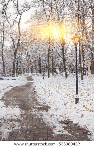Winter landscape with benches in the alley of city park
