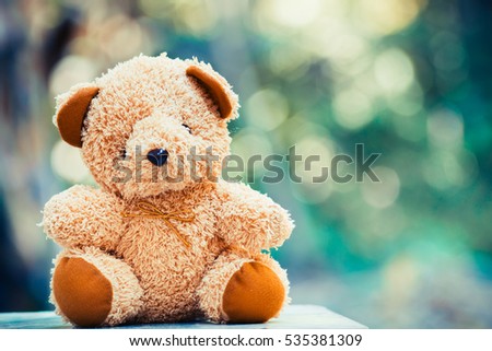 Cute teddy bear sitting with bokeh nature background