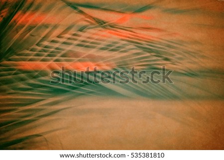 Abstract palm tree in motion against sunlight. Dynamic pattern, blurred leaves moving in wind, for vintage concept business blog, nature t-shirt design shop ambient music. Image with filter effect