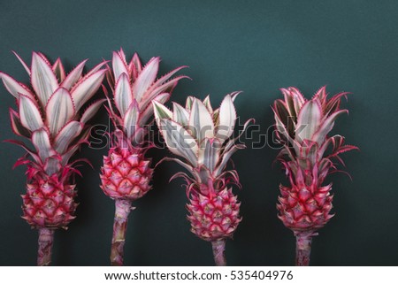 Four colorful  pink pineapple on green background . Family concept