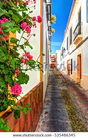 Beautiful White Walls Decorated with Colorful Flowers - Old European Town, Cordoba, Spain.