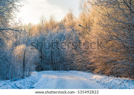 Winter landscape, snow-capped trees, evening sunset scene. Winter road, cold weather. Trees in the frost. Ice crust on the branches. Awesome winter view. Clear winter weather background 