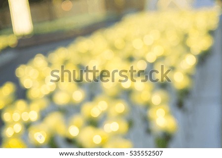  light bokeh in yellow colors