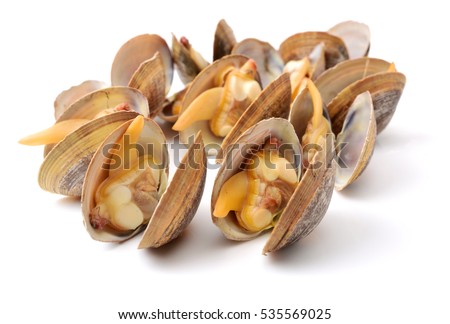 clams isolated on white background Royalty-Free Stock Photo #535569025