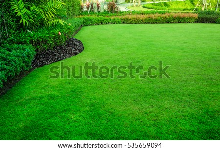The front yard in spring garden landscape design with tall and short shrubs and flowers has a beautiful rounded shape in the middle is grass multicolored shrubs intersecting bright green grass,Lawn.   Royalty-Free Stock Photo #535659094