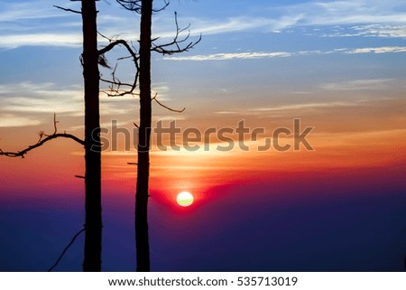 Silhouette of trees in sunset time. This picture reflect to dramatic or romantic emotional and feel warm. Natural light is used. the sky is beautiful and colorful.