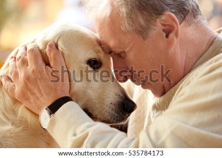 Senior man and big dog, closeup Royalty-Free Stock Photo #535784173
