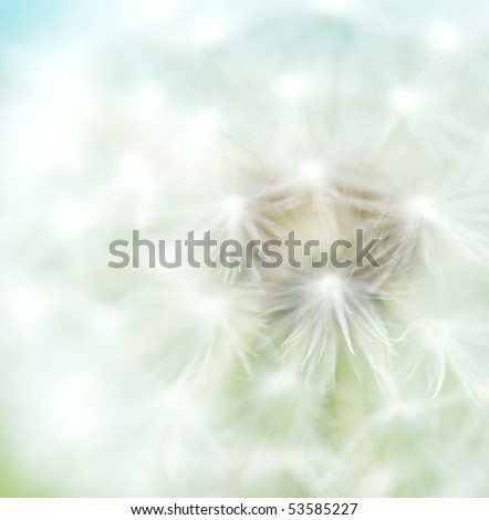 Abstract soft nature background.