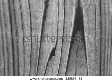 wood background.photo