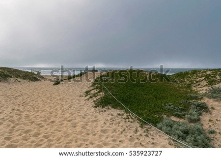 Misty day on Sandy beach near Monterey Bay, Central Pacific coast of California, USA