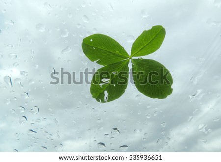 glass and clover