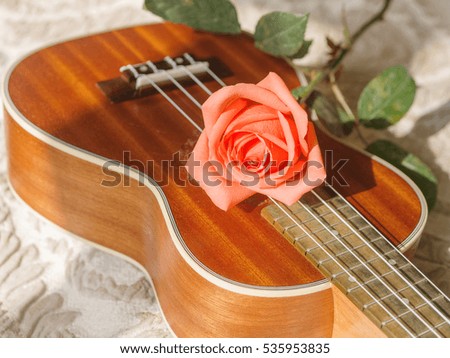Rose on ukulele, Love, Valentines concept.