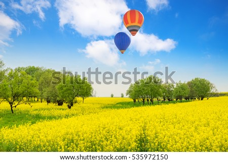 Yellow oilseed rape field under the blue sky