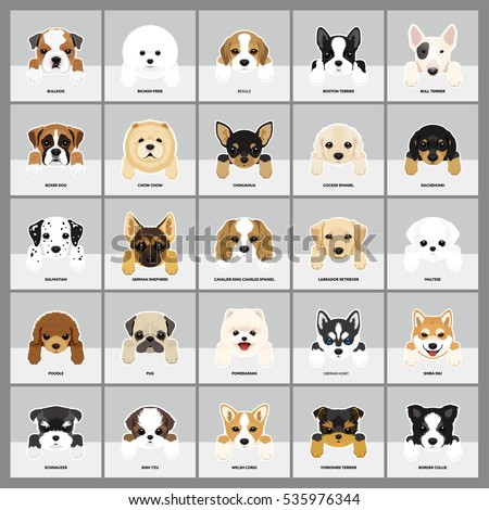 Set of Dogs Vector Illustration. 25 breeds puppy.