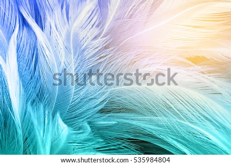 Green turquoise and blue color trends chicken feather texture background,Light orange