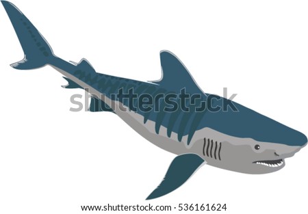 Vector drawing of a shark