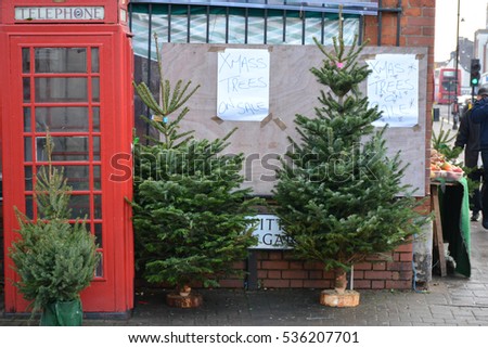 Christmas trees for sale in a market in London. 