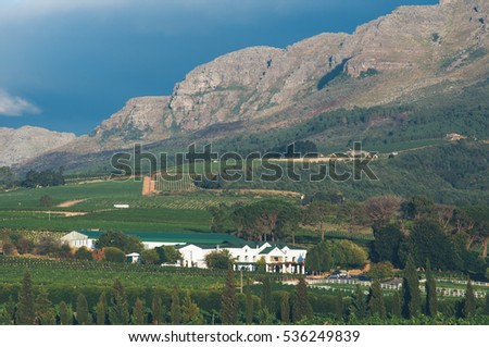 South Africa, Western Cape, near Stellenbosch, Wine Estate. Homestead and vineyards.
