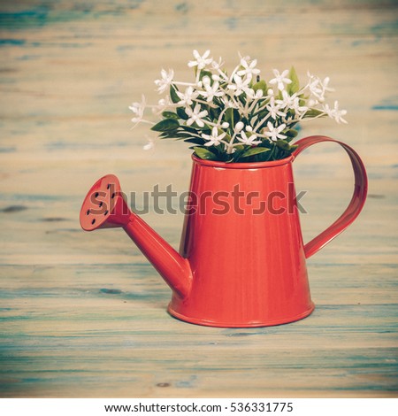 Small plant in a red watering can on color wood table.