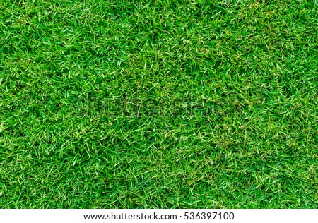   Green grass texture for background
