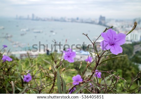 Guava, violet purple rain on a hilltop with a background as a Marine in the Gulf.