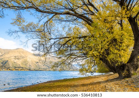 Beautiful autumn landscape Lake Wanaka in New Zealand.