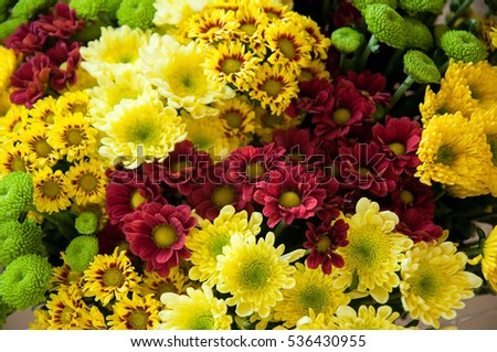 a bouquet of yellow, red, green chrysanthemums. top view. Close-up