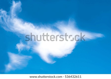 Sky Cloud, Swan Cloud