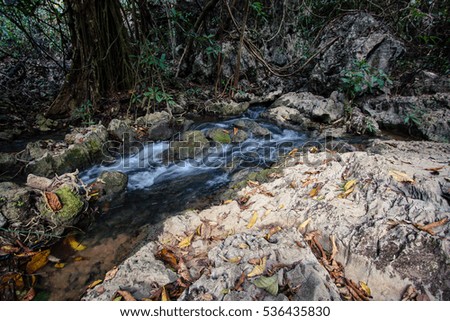 Small waterfall in deep green forest scenery.