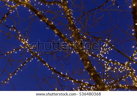 Branches with Christmas lights and a dark blue sky.