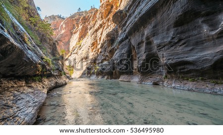 The river runs canyon wall to canyon wall. The light at the end of the narrow. Virgin River in The Narrows in Zion National Park, Utah, USA
