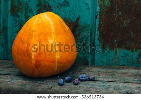 The pumpkin and plums on rustic wooden desks in village and
rust wall