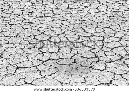 Arid and dry cracked earth in forest soil, nature