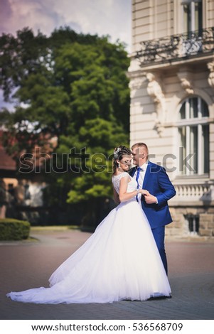 Wedding portrait of newlyweds, just married on the background of the castle, photo in the street.