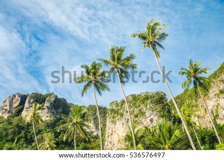 Beautiful coconut palm trees and mountain, Krabi Thailand
