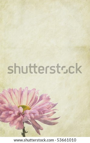Flower themed, soft vintage paper background. Detailed texture. Copy-space.