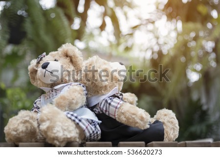 Cute couple teddy bear with green wood background,with sun lighting
