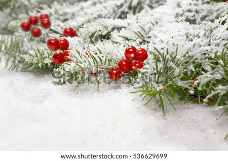 snow xmas background firs branches 
