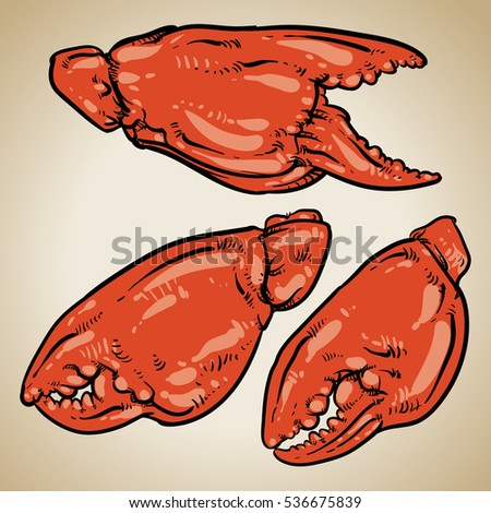 Crab claws isolated on white background. Hand drawn crab vector. seafood.
