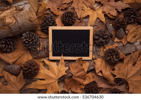 Empty blackboard into the woods, with yellow leaves and pines, free space to write down text.