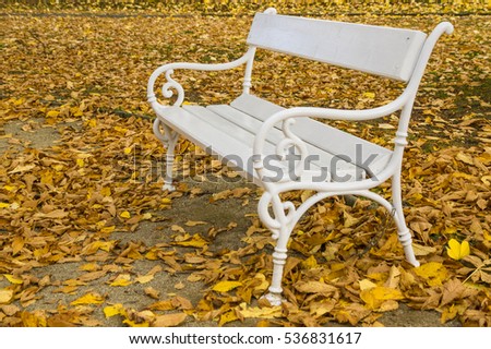white bench in autumn