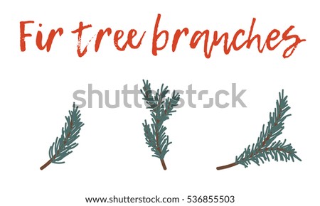 Fir tree branches isolated on white background. Vector decorative elements. Set of christmas tree branches