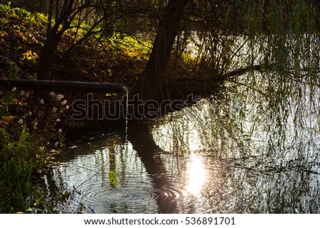 Fresh mountain water falling down from the wooden pipe in the lake with sun reflections on the surface, sun rays on the green grass in the background, close up.