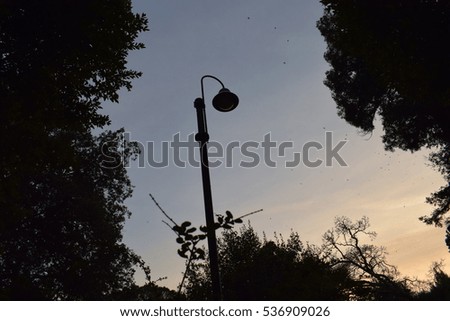 Lamp in the park