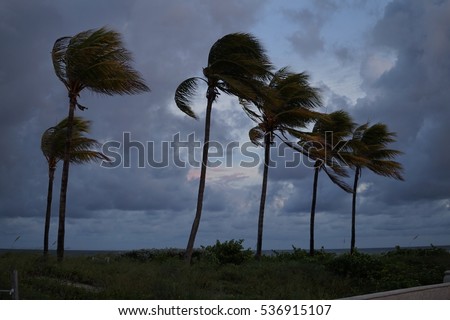 At the beach before the hurricane Royalty-Free Stock Photo #536915107