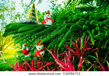 Snowman on a pine tree for Christmas for background
