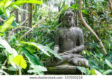 Buddha statue in Bali bird park, Indonesia